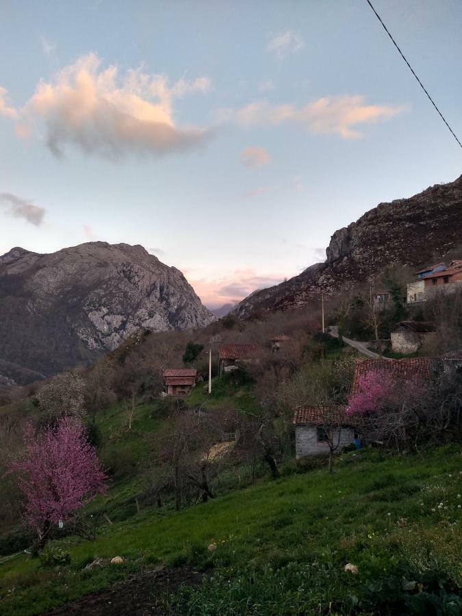 El Llagar Vista (Cangas de Onis) Exterior foto